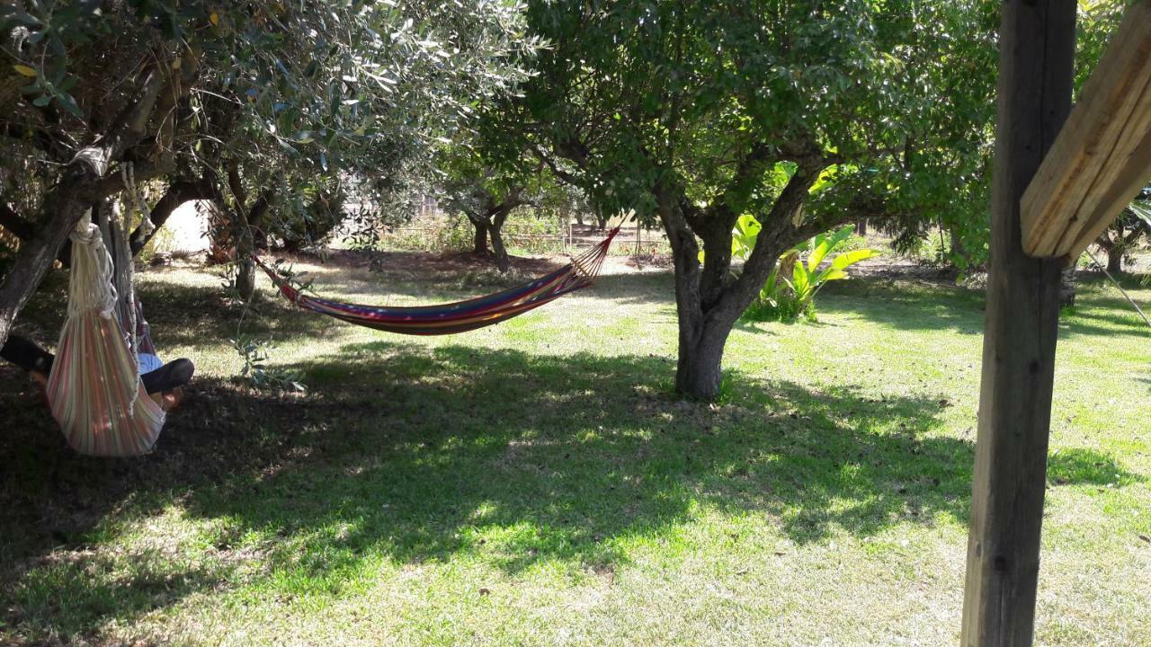 Villa Kampia Capo Vaticano Exterior foto